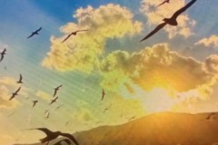 西甲保级大战：巴列卡诺主场迎战塞维利亚关键战